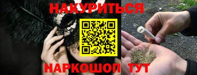 сатива Камышлов