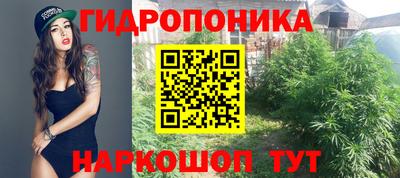 сатива Камышлов
